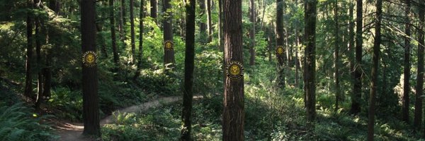 TheSoloBckpackr Profile Banner