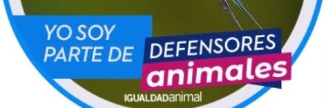 asesprof1's profile banner image