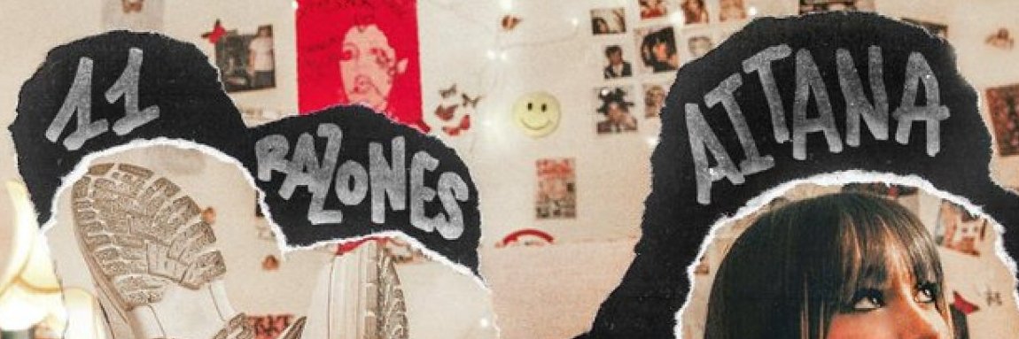 AnaChicks's profile banner image