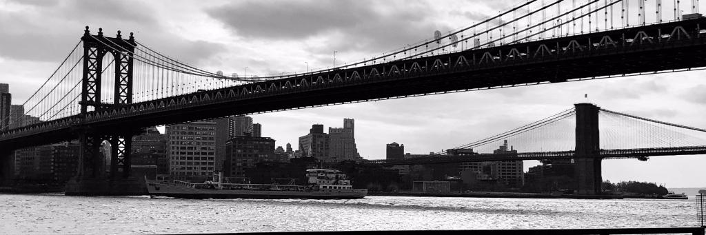 michaelbshapiro's profile banner image