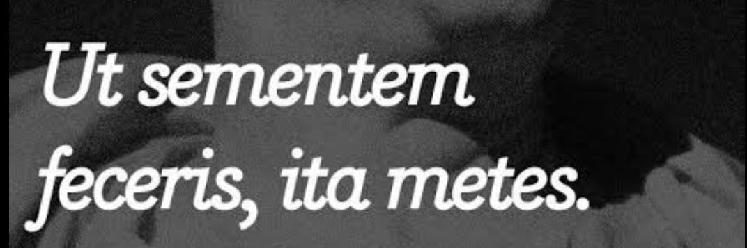 Edison V. Campos banner