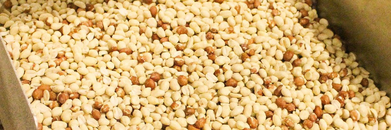 American Peanut Council banner