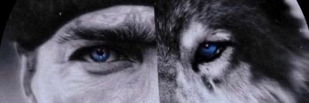 demircanertunc's profile banner image