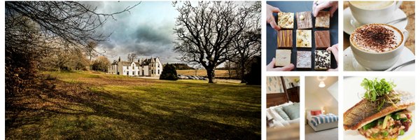 saplinbrae Profile Banner