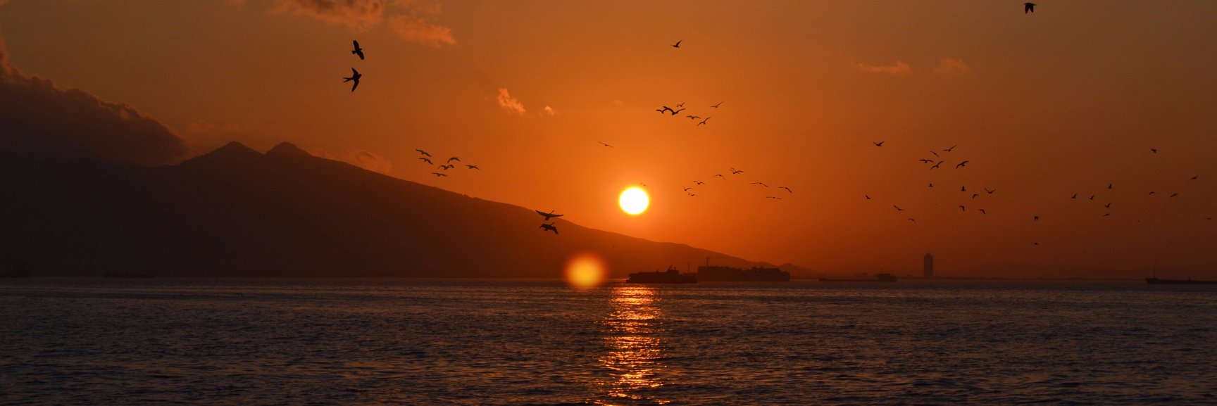Deniz P. banner