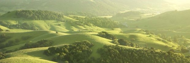 We Love Britain banner