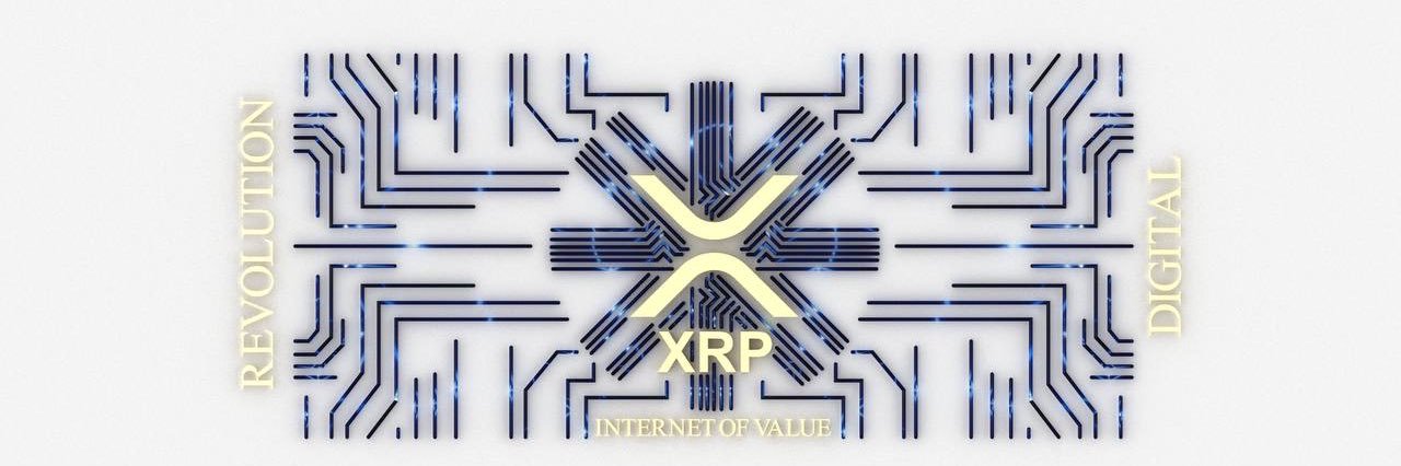 XtremeRippleProtocol's banner