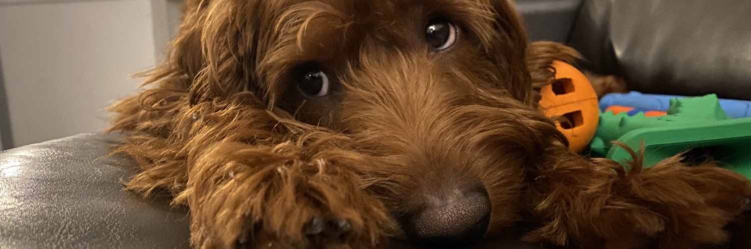 sosoriooo's profile banner image