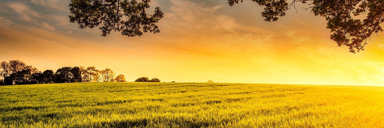 Name Matchmaker banner