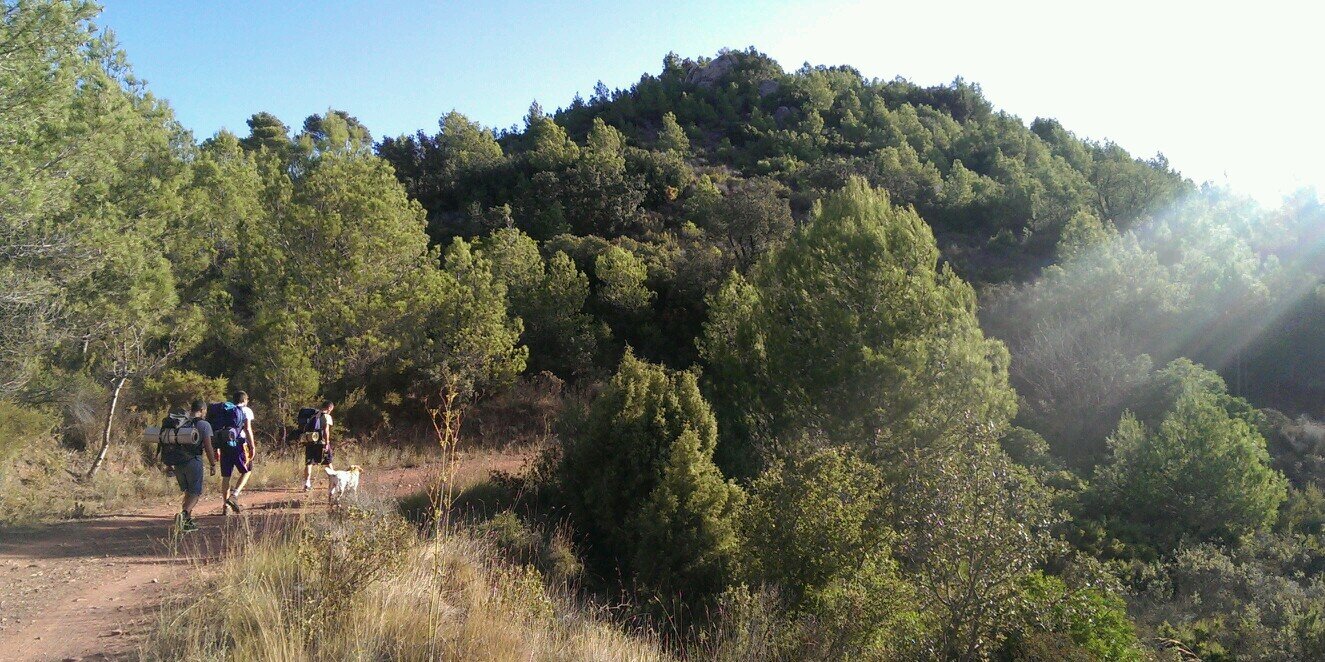 RuizCorts's profile banner image
