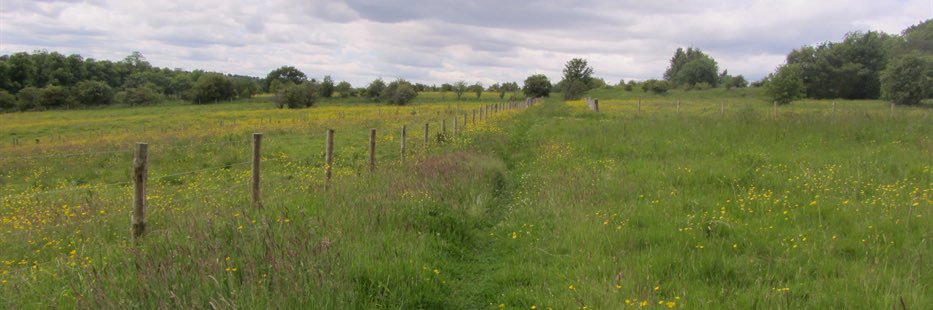 Bill Movements banner