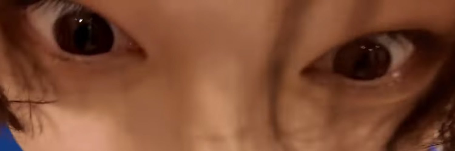 l*la (derogatory) banner