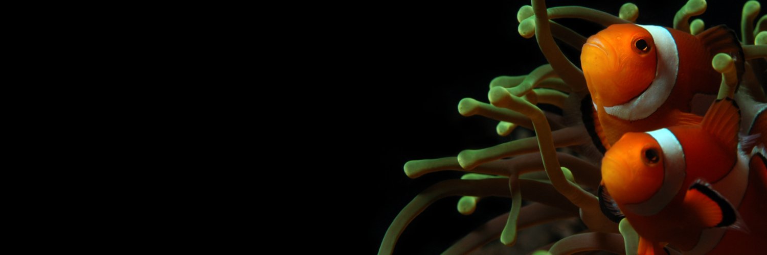 Apple12345 banner