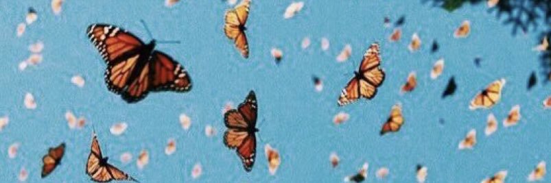 jadeingr's profile banner image
