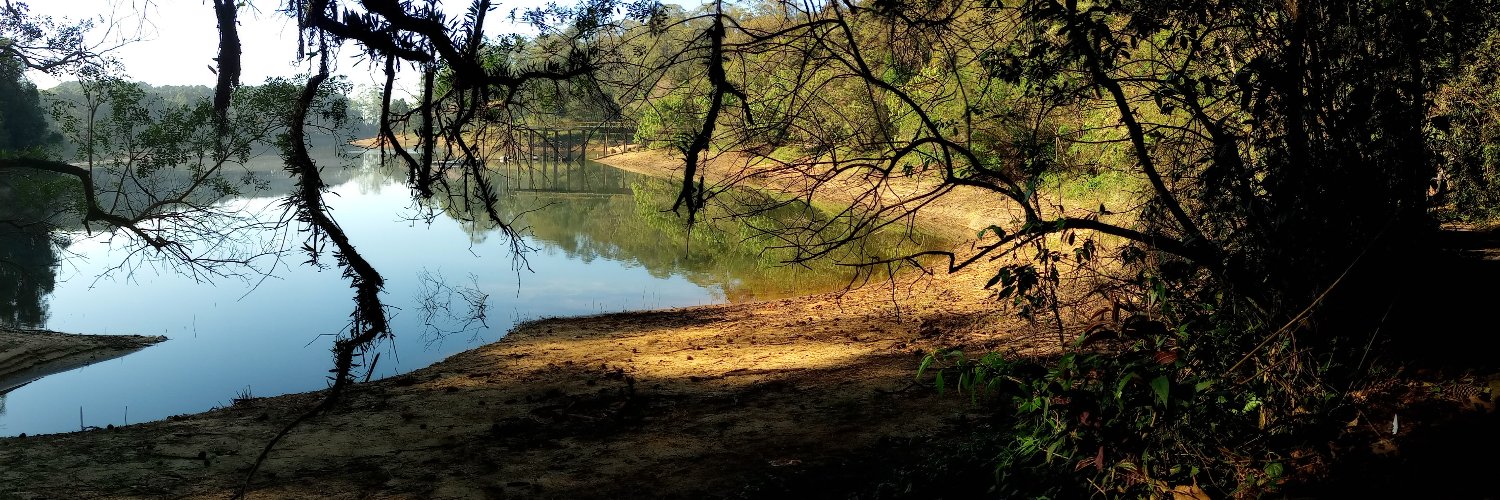 roxiele roxo roxilda da roxa banner