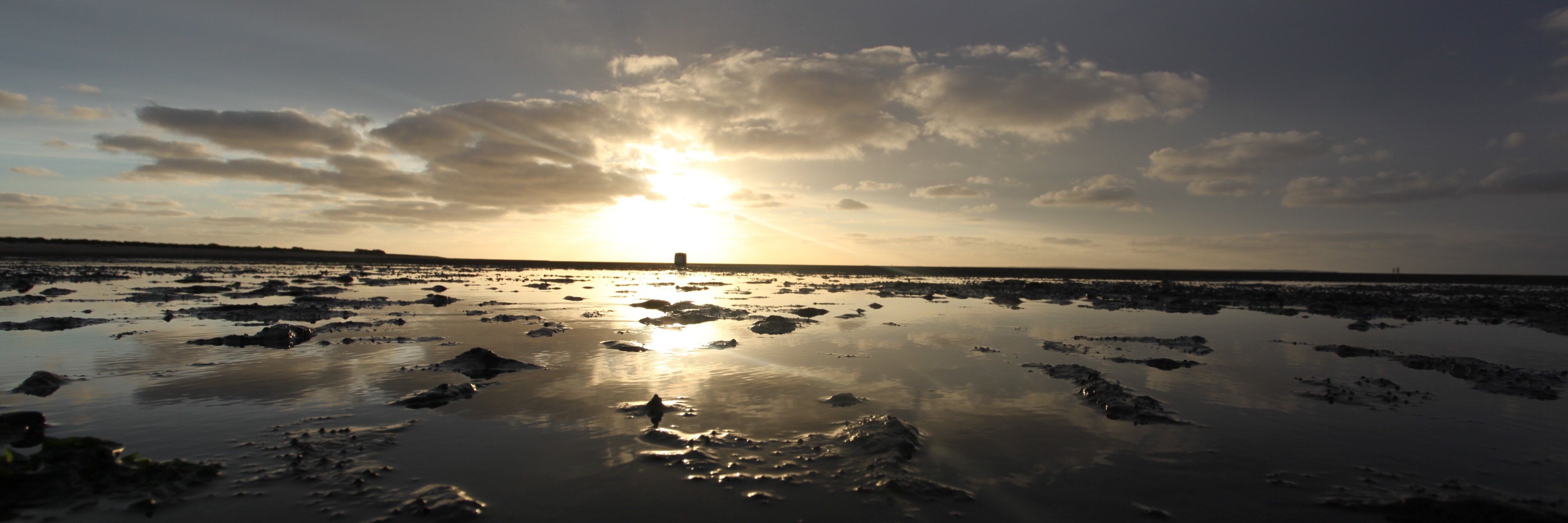 Stuart Rideout banner