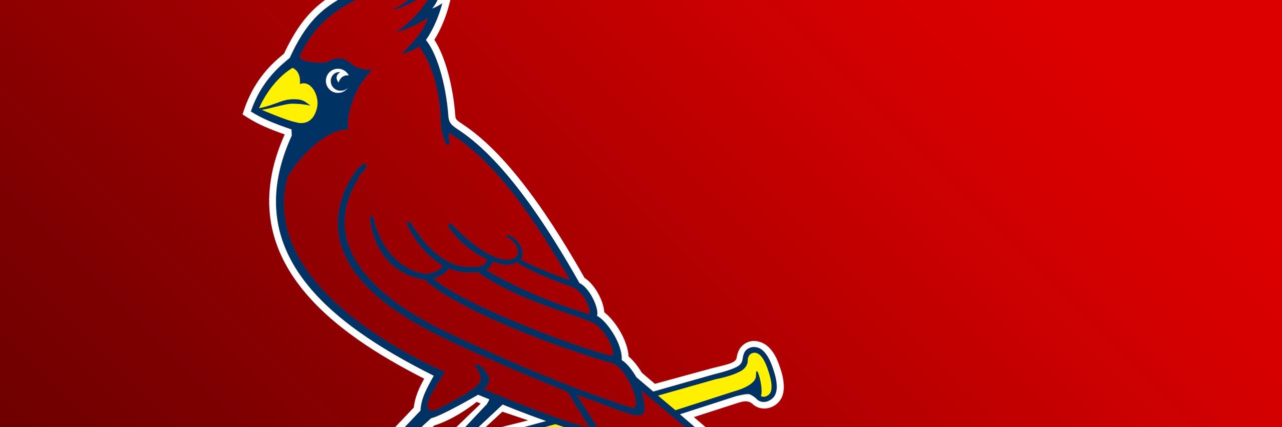mbibb01's profile banner image