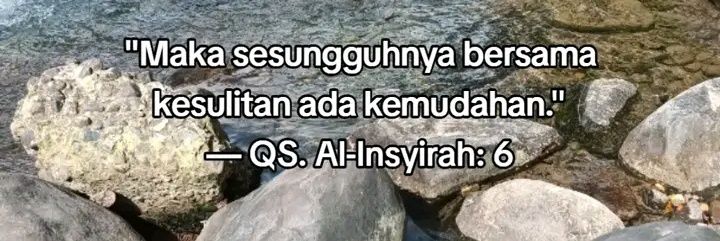 tinkcamabaugm｡･:*:･ banner