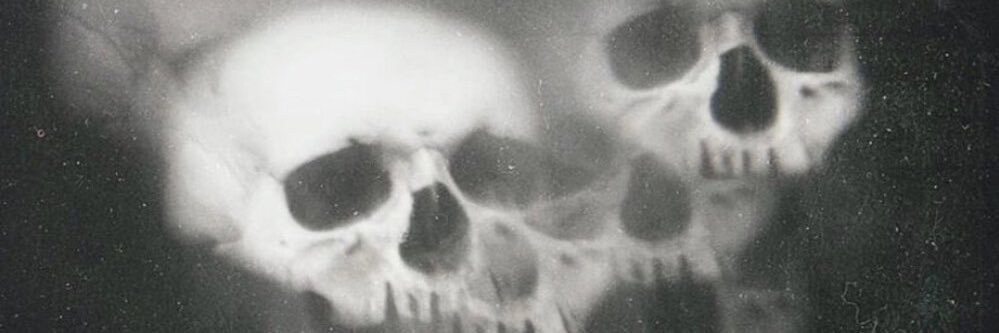 skudoublel's profile banner image