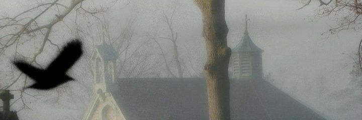 omiga96's profile banner image