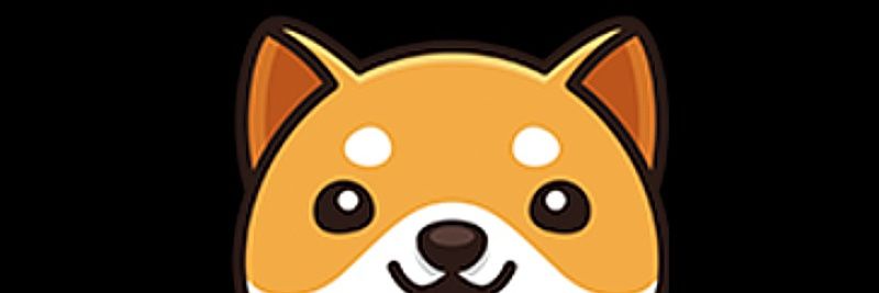 BABYDOGEBoy1's profile banner image