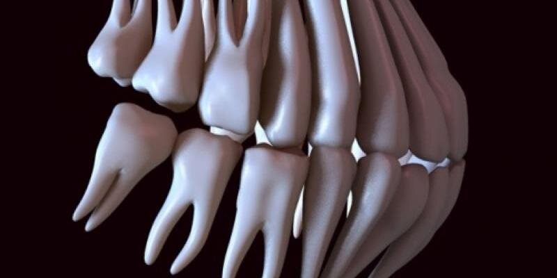SteffiSanchezC's profile banner image