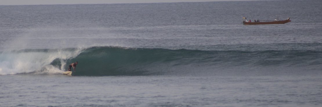 harrygrland's profile banner image