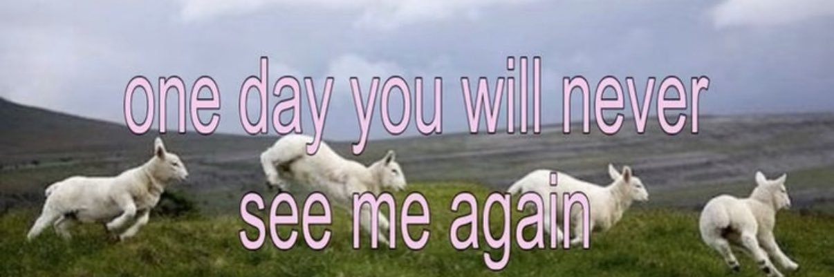 醒着像座山谷 banner