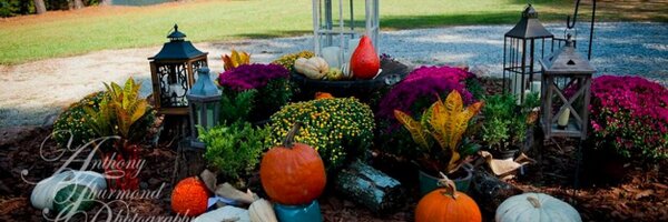 RoseConfidence Profile Banner