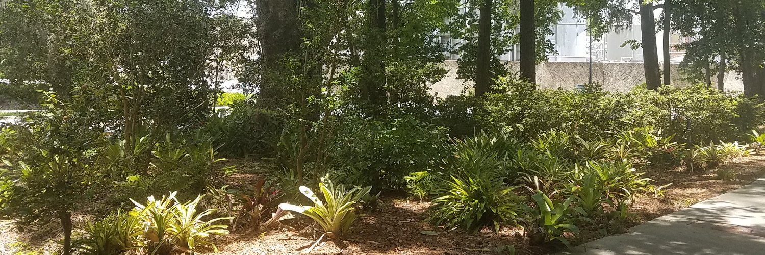 Catherine Woodstock Striley banner