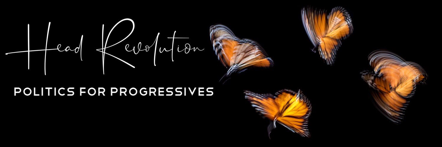 headrevolution's profile banner image