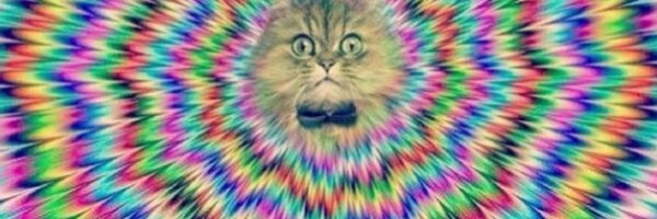 ericksk8r Profile Banner