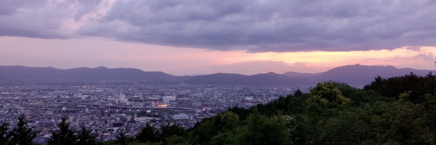 Nivedita Lane banner