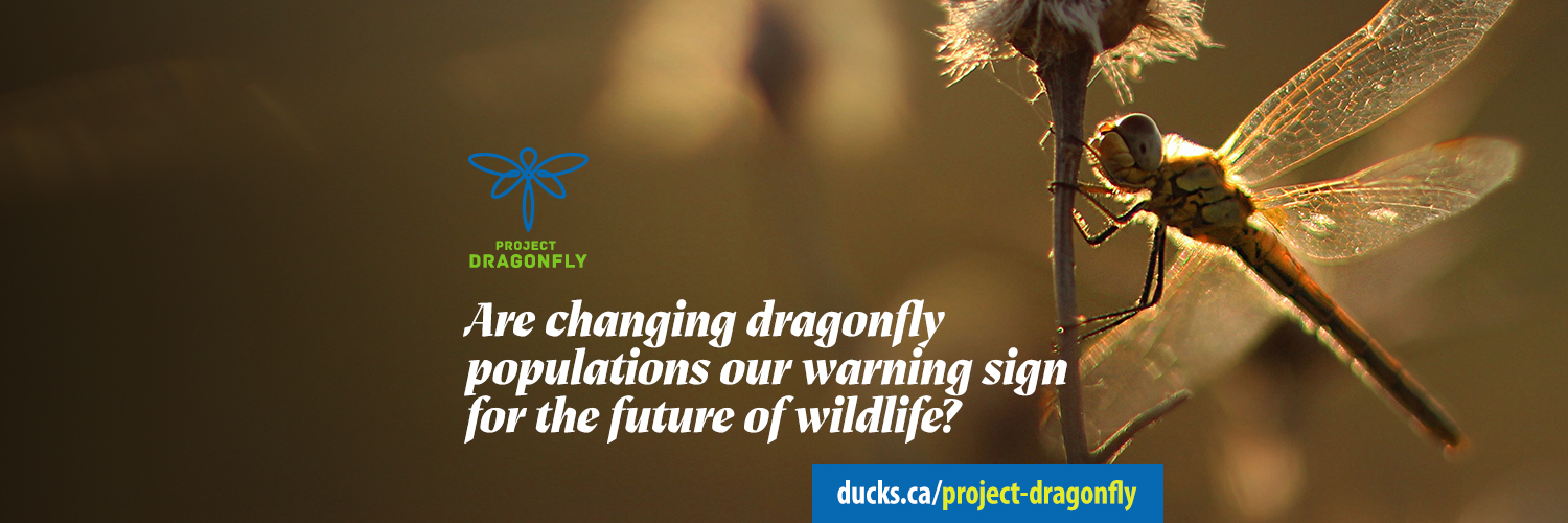 Ducks Unlimited Canada - Atlantic banner