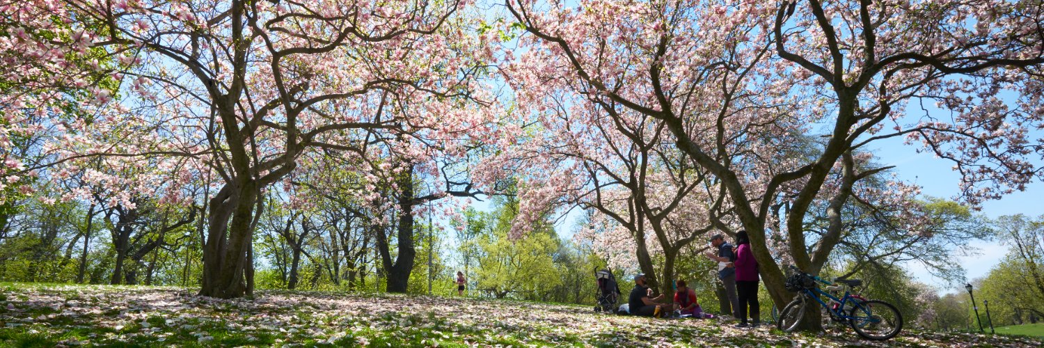 Prospect Park banner