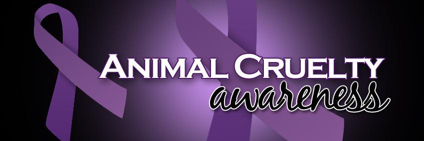 saveoranimals's profile banner image