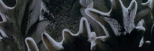 ergocvltnow Profile Banner