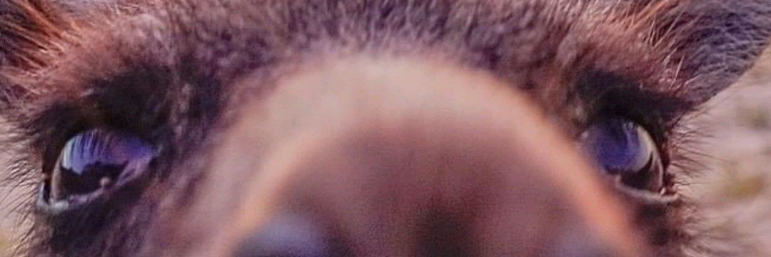 kusituus's profile banner image