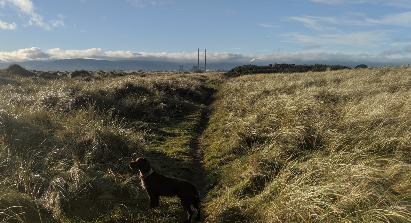 Alberto Población banner