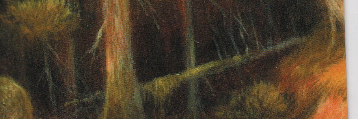 Wolf SimsalaGrimm banner
