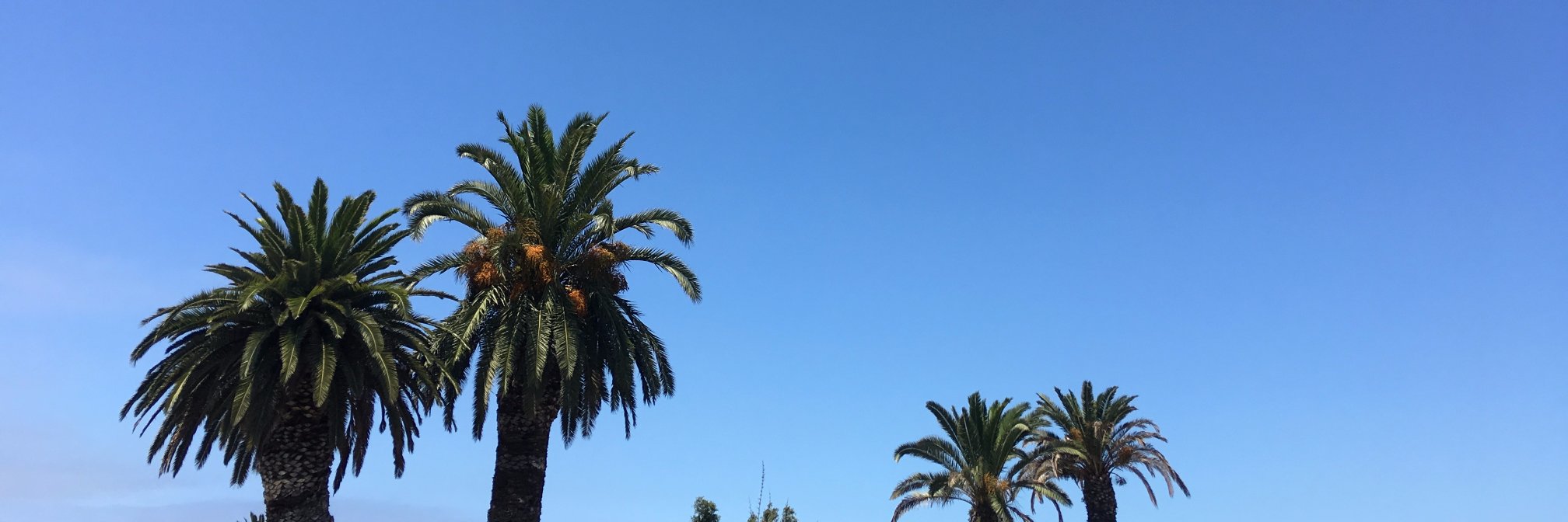 ayo_wav's profile banner image