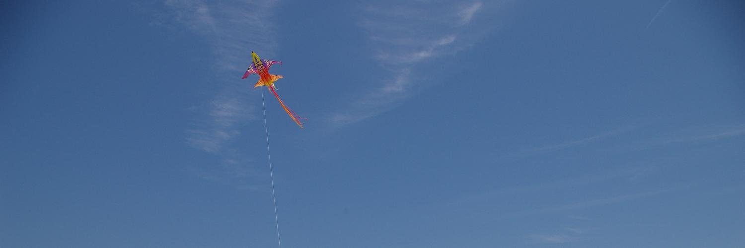 Fred Rahmanian ScD banner