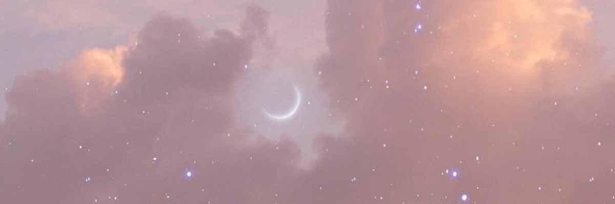 🎀 banner