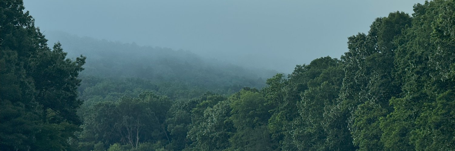 theNickvalley's profile banner image