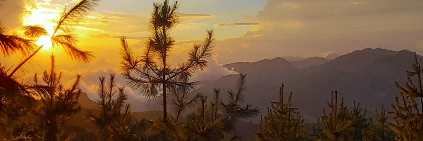 du_mongee's profile banner image