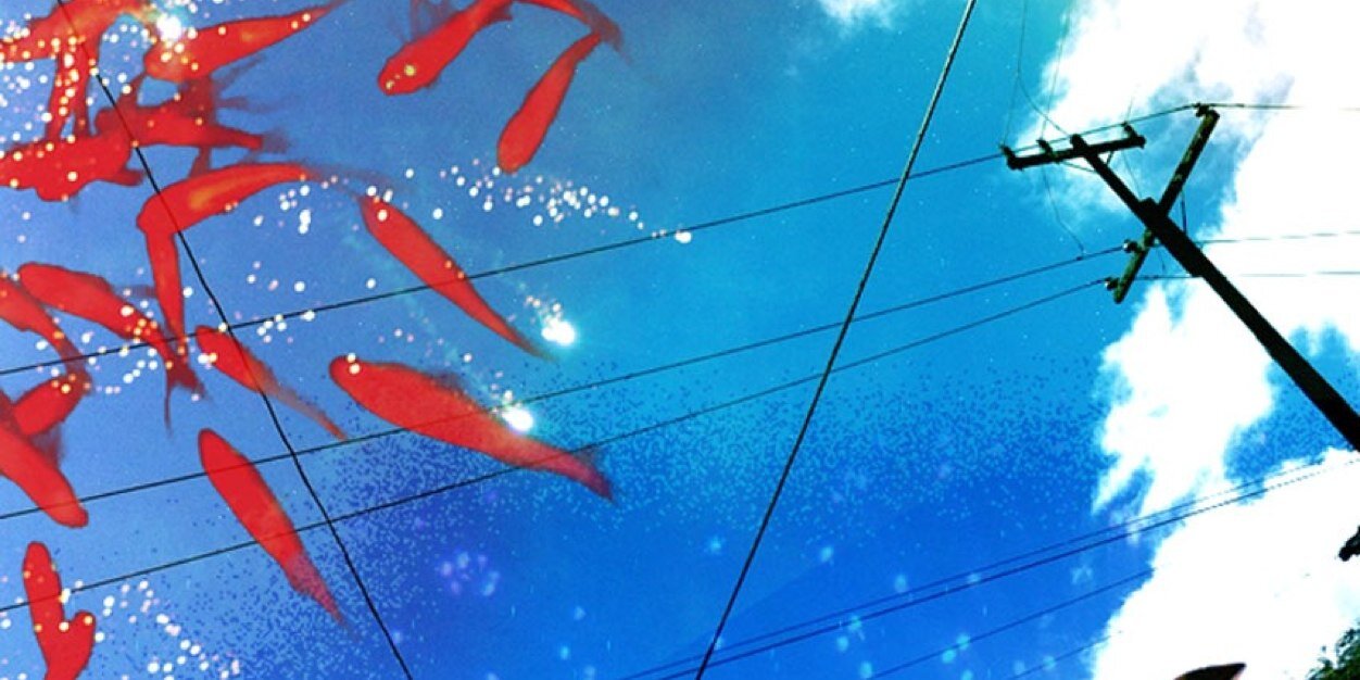boraboraco's profile banner image
