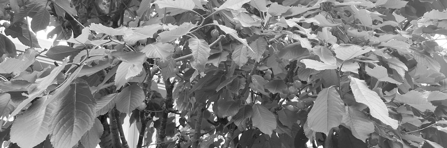 4710｜依頼受付中 banner