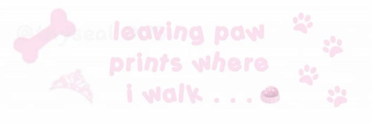 rory ୧ ‧₊˚ 🐾 ⋅ banner