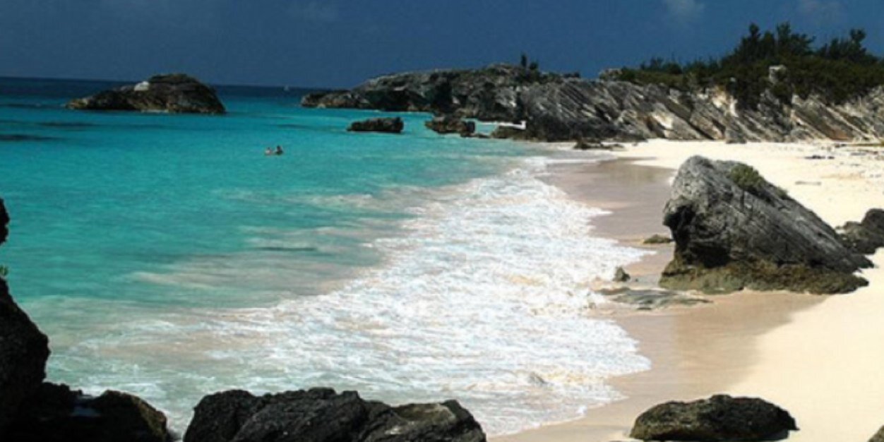 Andrew Clarke banner