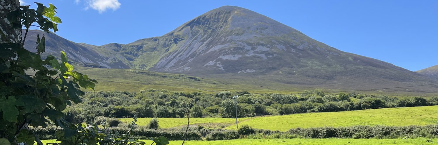 Kerry Holleran banner